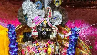 Mathura virandravan #trending #viralvideos #mathura #bakebihariji #viralvideos #reels #viralvideos 