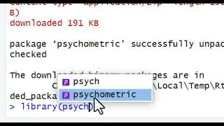 How to conduct classical test theory item analysis using R