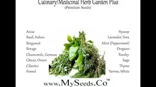 CULINARY MEDICINAL Herb Garden Seeds Kit - (16 Easy-to-Grow Herbs),  SEEDS on  www.MySeeds.Co