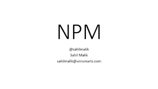 1. Learn Angular: Node and NPM
