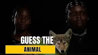 HOW MANY OF THESE ANIMALS CAN YOU IDENTIFY | SERENA Vs OLUCHI | (Friends Contest)