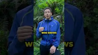 A calming walk through nature #nature #naturelovers  #youtubeshorts