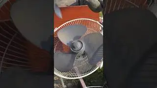 Best SMC Fan &ldquo;Review&rdquo; On YouTube