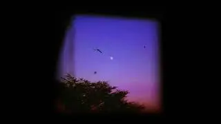 (FREE) hamza x guy2bezbar type beat - vision