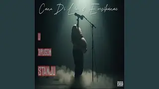 Drim tim (U drugom stanju)