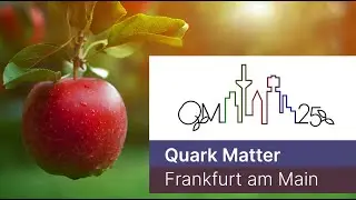 Quark Matter 2025