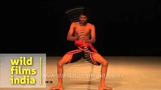 Dani Pannullo Dance Theatre Co., Spain performs in Delhi