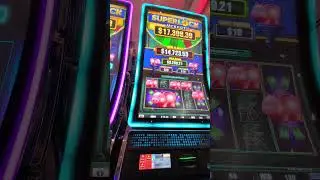 🐖 SUPERLOCK JACKPOT Piggy Bank 🎰 Feature Slot Machine Bonus Game #slot #hardrockcasino #winning