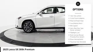 2025 Lexus UX 300h Premium Schaumburg IL 251519