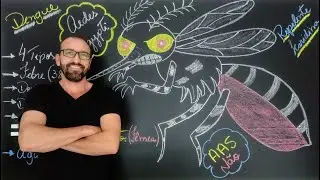 Dengue : causas, sintomas e prevenção