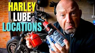 How To Lubricate Harley Davidson M8 Softail | H-D Regular Service Lubrication Locations