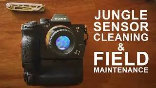 Sensor Cleaning & Care: Essential Gear and Workflow for Photography in the Wild