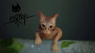 Stray - Missed Jump Cutscene