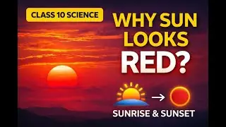 Why Does the Sun Look Red at Sunrise and Sunset? 🌅 | Science Explained | Science Short