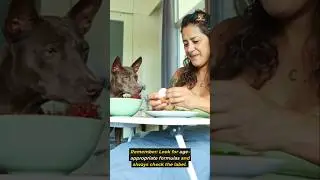 Choose The Right Food For Your Pet #petcaretips #petnutrition #dogsofyoutube #dogshorts