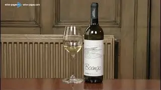 Boango Douro Branco 2016, wine review