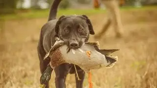 The 2016 1st Annual Upland Tower Shoot Event 4K HD