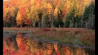 Assn of Great Lakes Outdoor Writers Breakout
