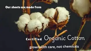 Why Good Sleep Starts With Our Organic Cotton Sheets?