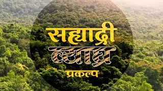SAHYADRI TIGER RESERVE