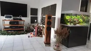 Audio Analogue Maestro Anniversary + Artos Audio Moonglow Cell - Anette Askvik:  Liberty