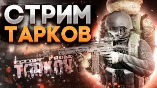 59lvl+kappa