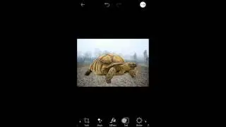 Dramatic Photo Manipulation Effect |   Picsart