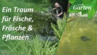 Traumgarten mit Fr&ouml;schen und Fischen: Im Gartenteich die Natur betrachten | MDR Garten