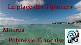 Survol de la plage des Tipaniers &agrave; Moorea, Polyn&eacute;sie fran&ccedil;aise
