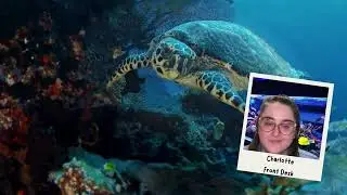 Fish Tank Introduction
