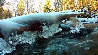 Calming Frozen Forest Stream. Relaxing Nature Sounds. (10 hours). White noise for sleeping.
