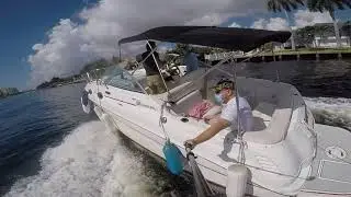 2004 Sea Ray 260 Sundancer test run