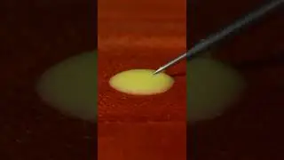 Air Bubble Inside Water Drop #macro #satisfying #asmr #relaxing