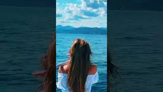 Дельфины в открытом море Крым Судак #sir_arafat #sea #dolphin #travel #nature #russia  #beautiful