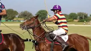 JAIPUR POLO MATCH