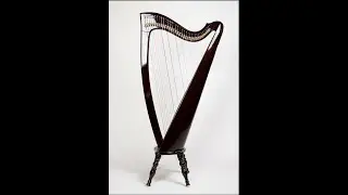 One Year Harp Progress!