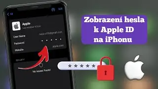 Jak zobrazit heslo k Apple ID na iPhonu | Metoda 2 Easy