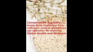 Opubo Presents: Amino Acids Process Technology