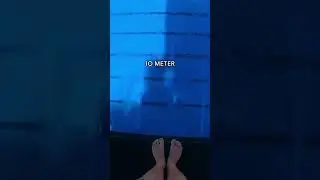 На какой высоте вам пришлось прекратить просмотр? 😱 #шорты