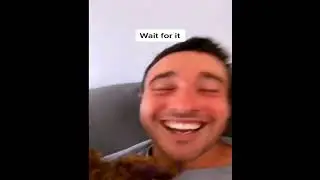 yt5s com Funniest Cats Vs Cucumber Reaction Vines compilation😂😍 Crazy Animals Funny Videos 🤣 Epis