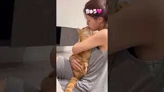 パパから見たママと超甘えん坊の猫がラブラブすぎて悲しい【とらまる】