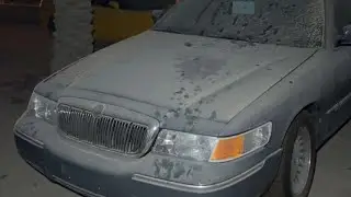 البريك طلع ماله دخل