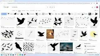 CorelDraw (Class-21)