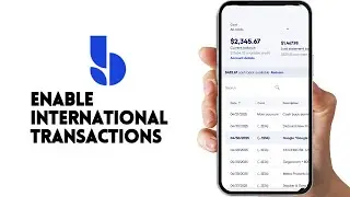 HOW TO ENABLE INTERNATIONAL TRANSACTIONS ON BLUEVINE DEBIT CARD