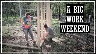 Goat Barn Build//Working The Garden//Grow Food Not Grass Summit