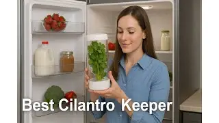 🌿 Best Cilantro Keeper | OXO Good Grips GreenSaver Herb Keeper 🥬