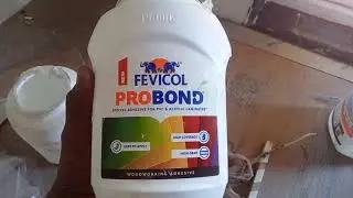 probond fevicol and working high level
