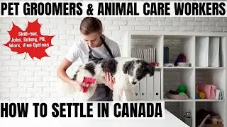 Pet Groomers & Animal Care Workers OPTIONS FOR CANADA IMMIGRATION | STUDY, WORK & PR DETAILS
