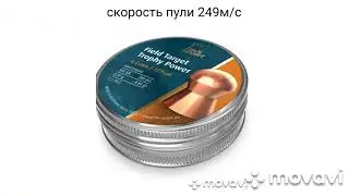 Отстрел пуль 50 метров артемис 1000s