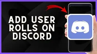 How to Add User Roles on Discord | Organize and Manage Your Community 🎮